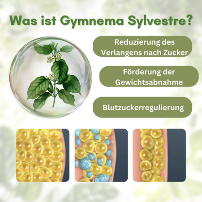 Zuckerzerstörer Gymnema Schlankheitscreme