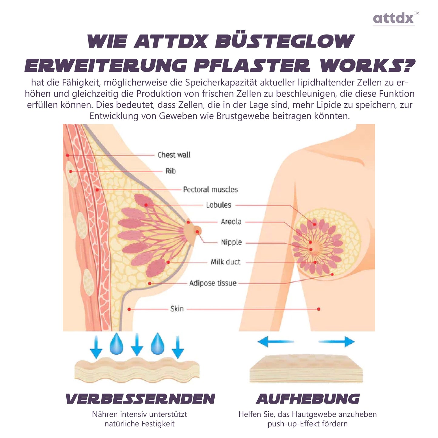 ATTDX BüsteGlow ErweiterungPflaster