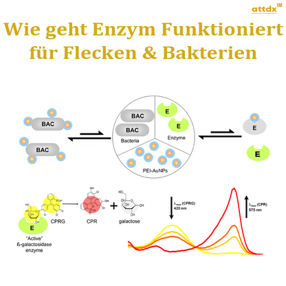 ATTDX Enzymatisch Flecken verschwinden Entferner