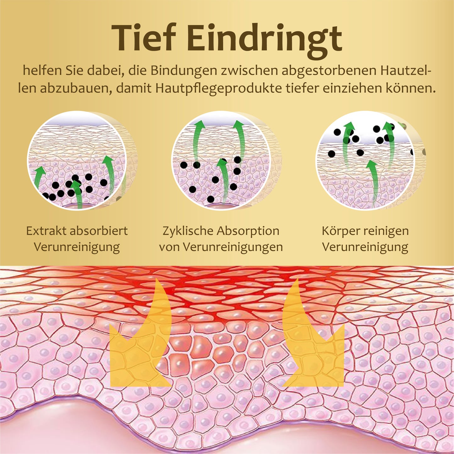 ATTDX Schlankmachendes Lymphatisches Erweichendes Duschgel