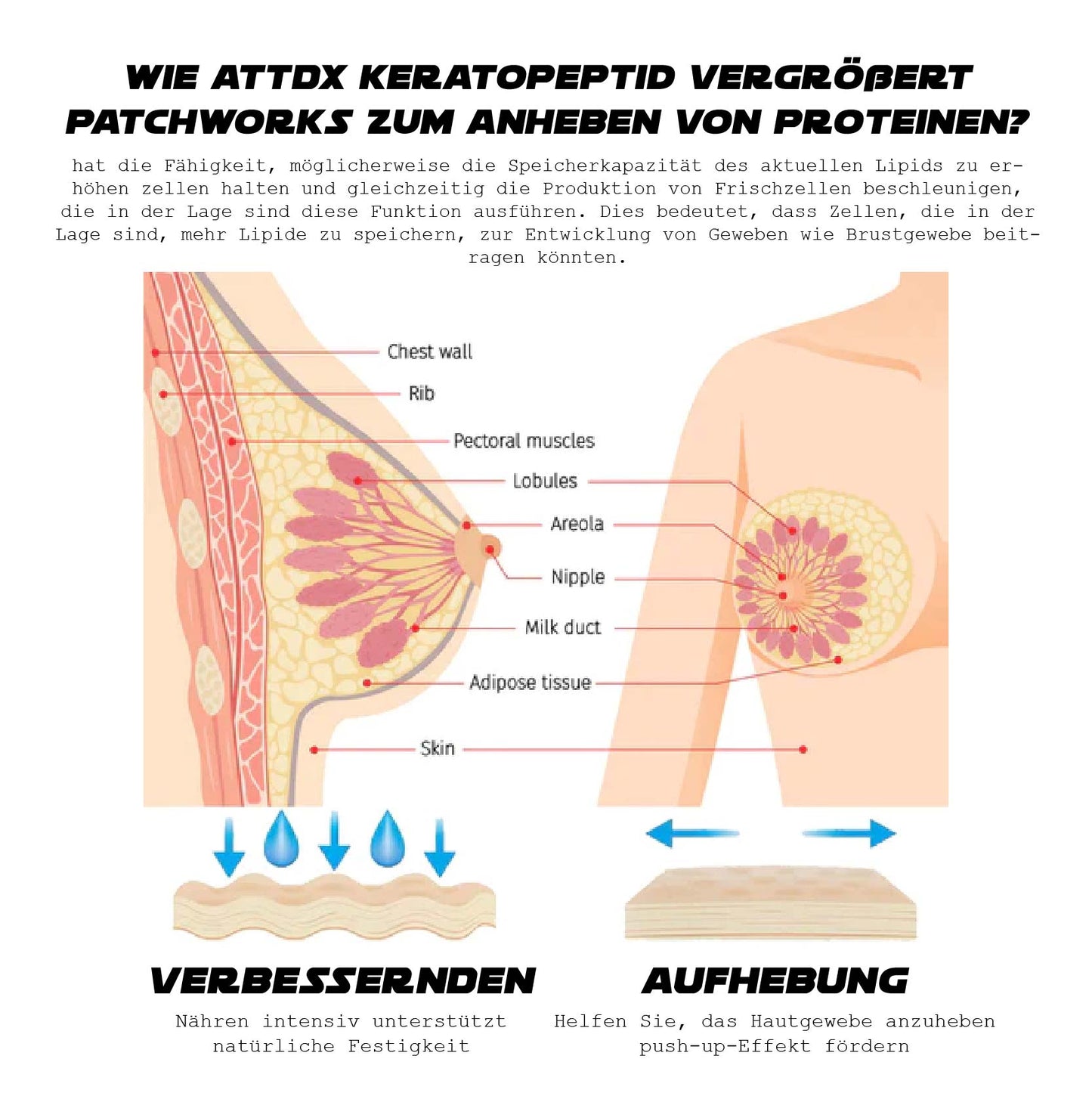 ATTDX GrößeHoch Keratopeptid Eiweiß Hebepflaster