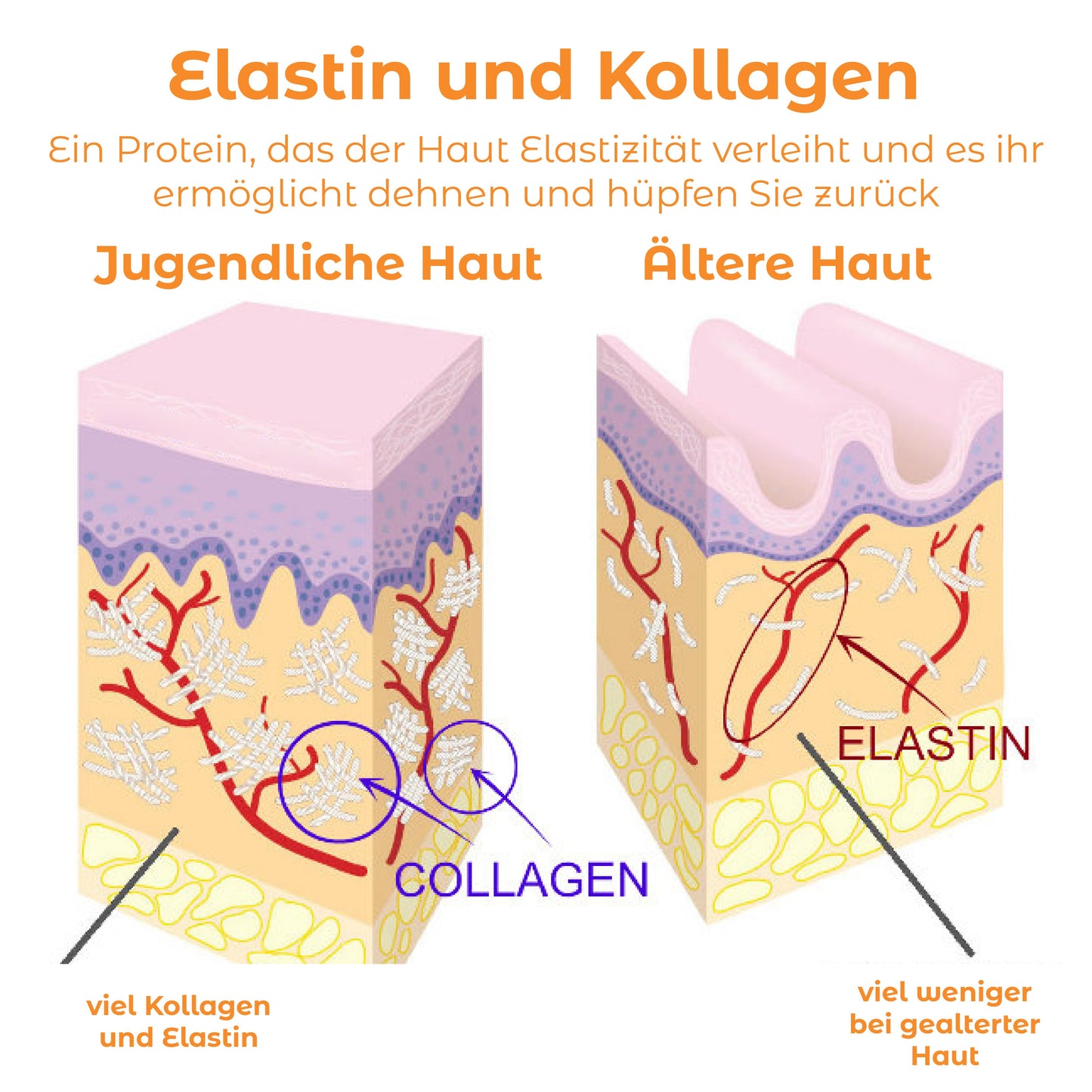 ATTDX Kollagen Löslich Antialterung Maske mit Spray