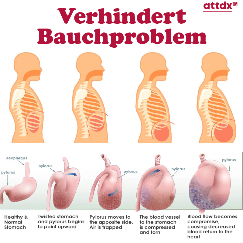 ATTDX Thermisches Bauch AbnehmPflaster