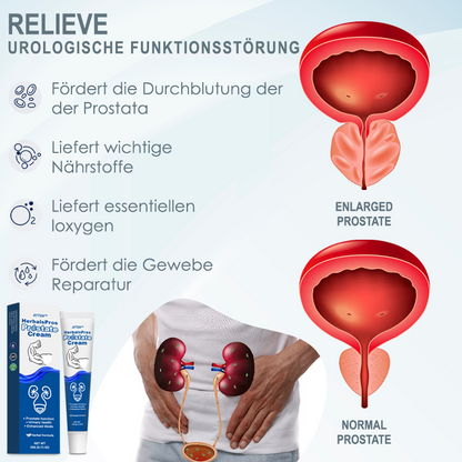 ATTDX™ KräuterPros Prostata Creme