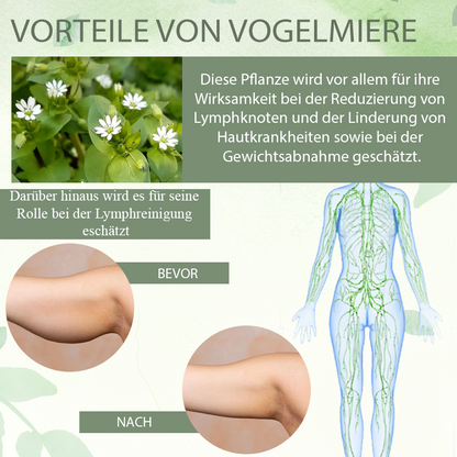 ATTDX™ Wildes Vogelmiere Hautreparatur Balsam