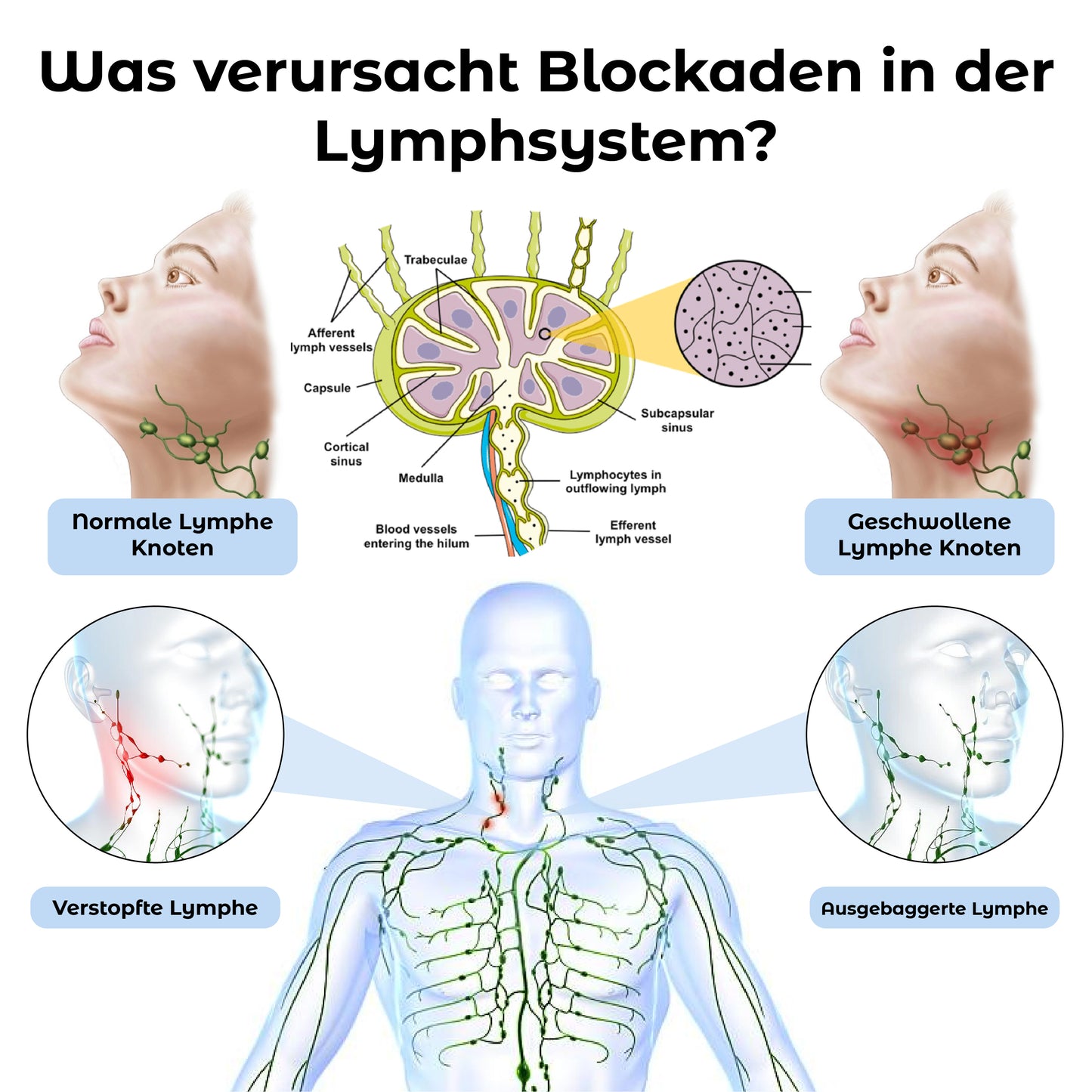 RICPIND Vitalität Scheinen Zirkulation Glanz Ohrclips