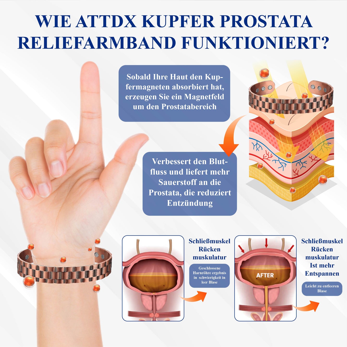 RICPIND™ Magnetisches Kupfer ProstaEntlastungsarmband