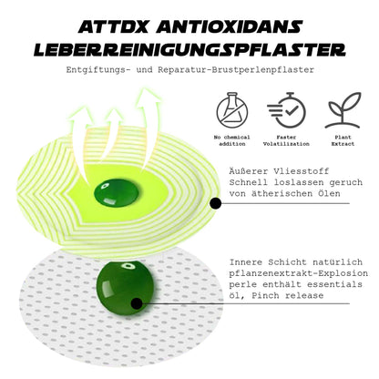 ATTDX Antioxidationsmittel LeberReinigung Aufnäher