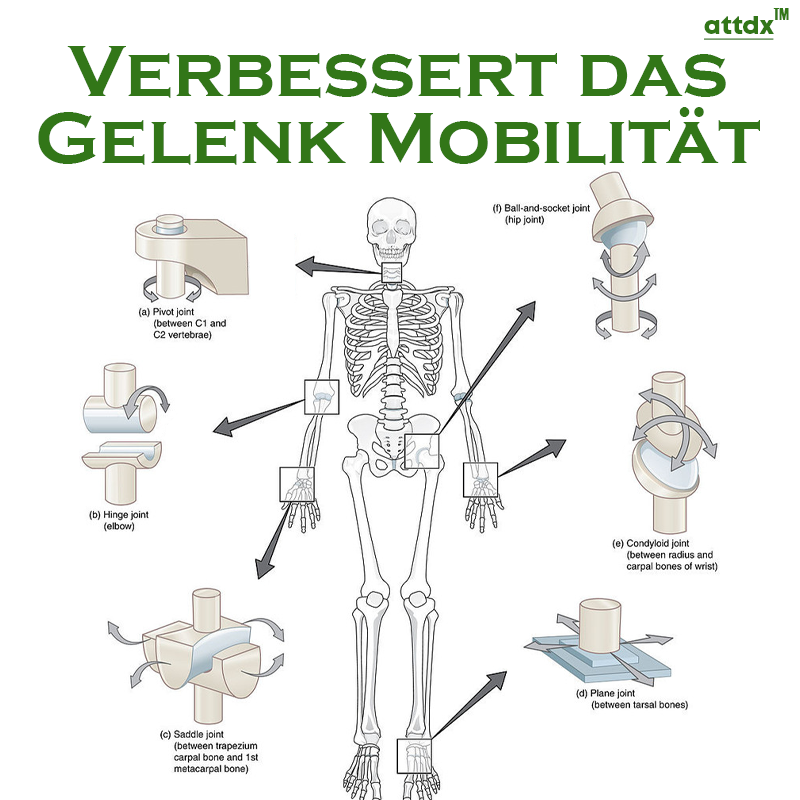 ATTDX Bienengift Gelenk Entlastungs Pflaster