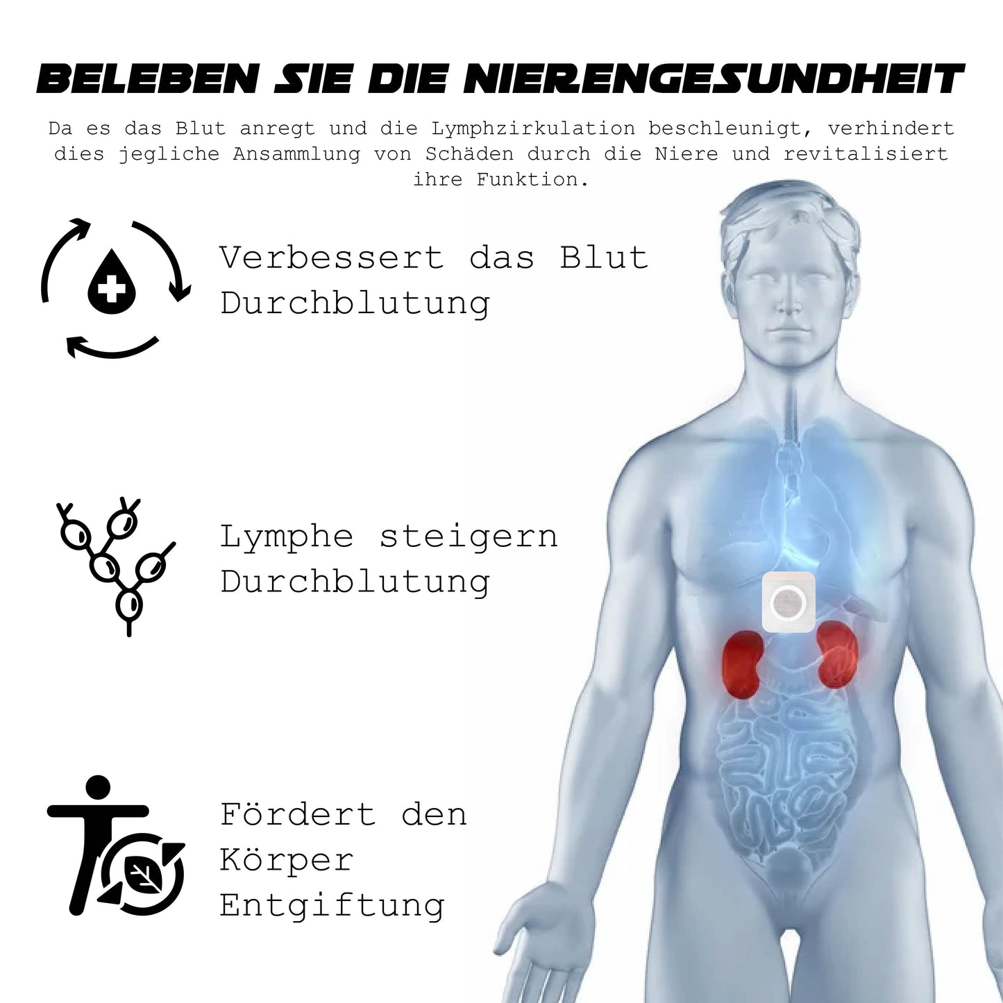 ATTDX NierePflege Körper Entgiftung Aufnäher