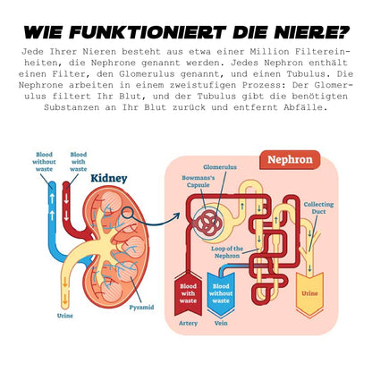 ATTDX NierePflege Körper Entgiftung Aufnäher