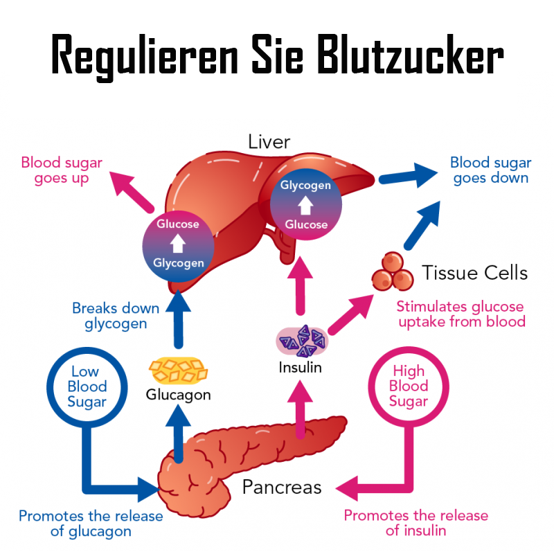 Ricpind ErleichterungZuckerkrankheit KörperBildhauerei HandRiemen